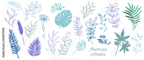 Flower branch and minimalistic plants. Hand drawn lines, elegant leaves for your own design. Botanical, chic and trendy plants. Hand drawn colorful plant set modern and universally usable.