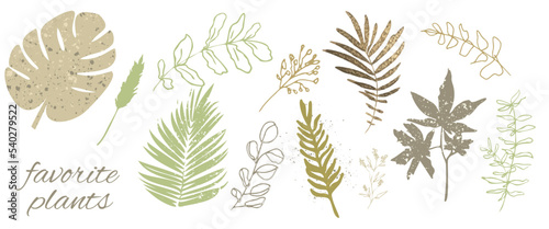 Flower branch and minimalistic plants. Hand drawn lines, elegant leaves for your own design. Botanical, chic and trendy plants. Hand drawn colorful plant set modern and universally usable.