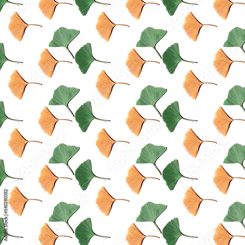 Autumn pattern. Ginkgo biloba leaves pattern on white background.