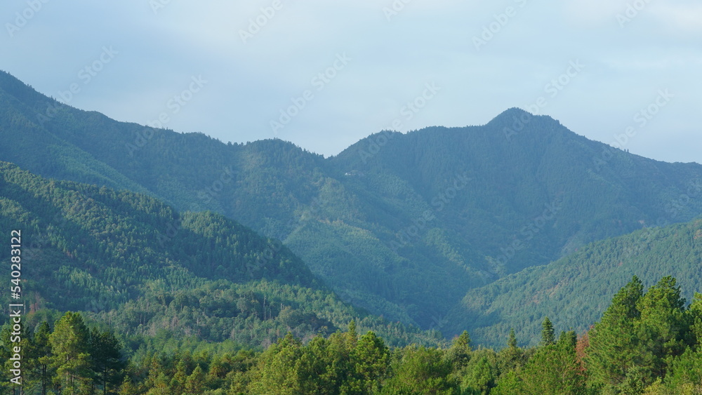 The beautiful traditional Chinese village view with the classical architecture and fresh green trees as background