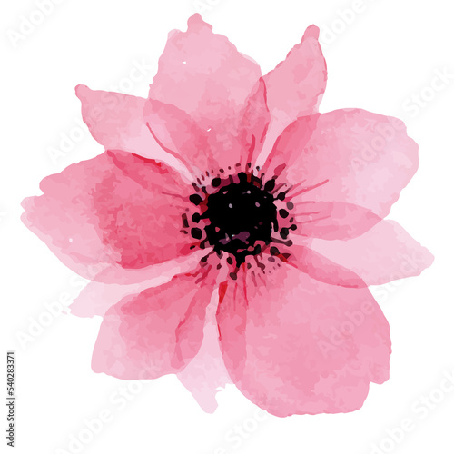 Fototapeta Naklejka Na Ścianę i Meble -  Painted Vector Watercolor Flower