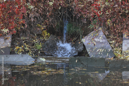 Fototapeta Naklejka Na Ścianę i Meble -  water drain on the river in autumn park