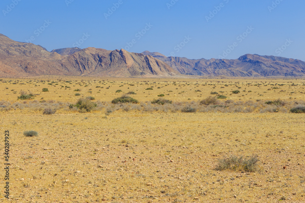 African savannah during a hot day. Namibia. African savannah during a hot day. Namibia.