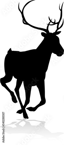 Deer Animal Silhouette