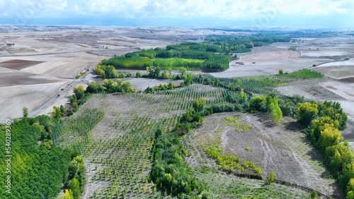 Landscape of Choperas (Populus sp.) in autumn in the river Eresma and the hermitage of Ntra. Señora las Vegas. Aerial view from a drone. The Orchards. Province of Segovia. Castile and Leon. Spain. Eur photo