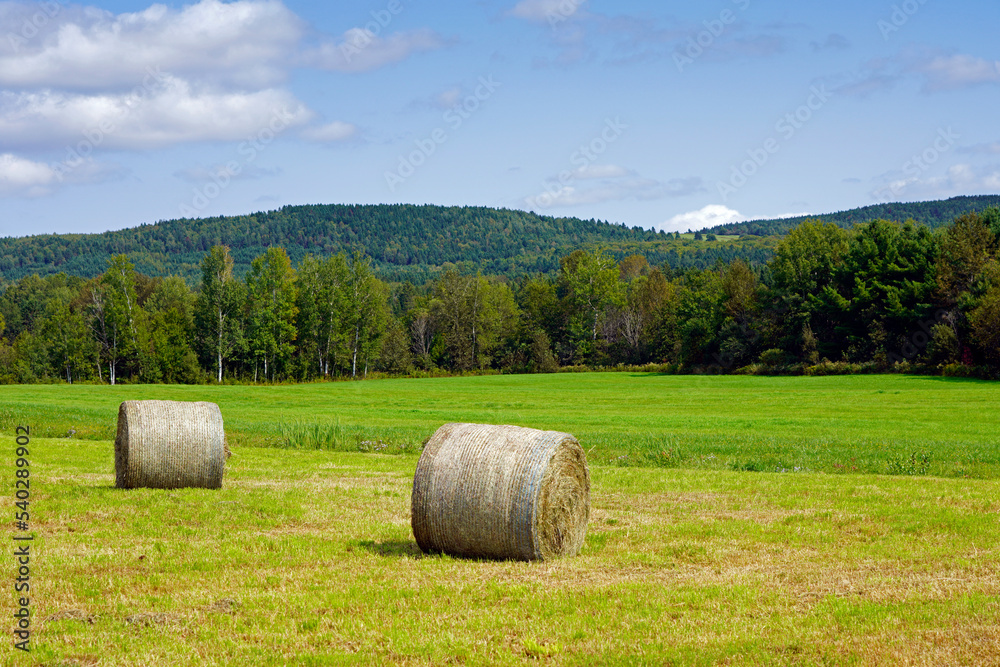 A picture of a field with haystack, hay bales with mountains