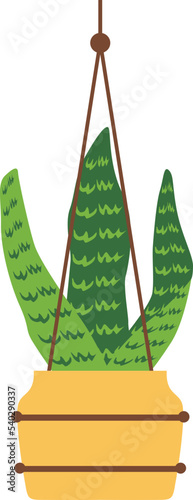 Hanging Plant Vector Decorative