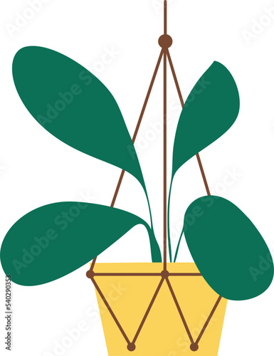 Hanging Plant Vector Decorative