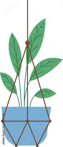 Hanging Plant Vector Decorative
