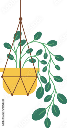 Hanging Plant Vector Decorative