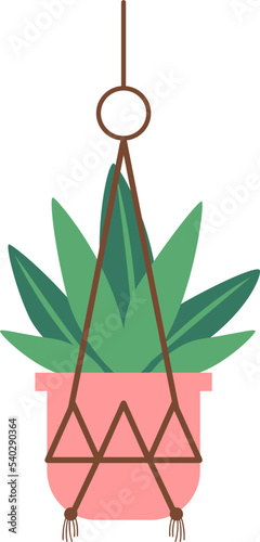 Hanging Plant Vector Decorative
