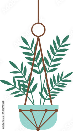 Hanging Plant Vector Decorative