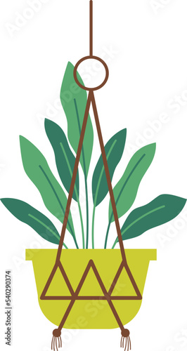 Hanging Plant Vector Decorative