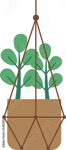 Hanging Plant Vector Decorative