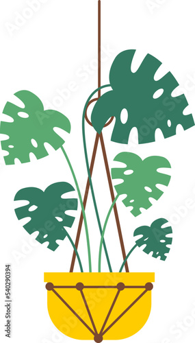 Hanging Plant Vector Decorative
