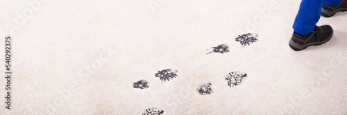 Elevated View Of Muddy Footprint On Carpet