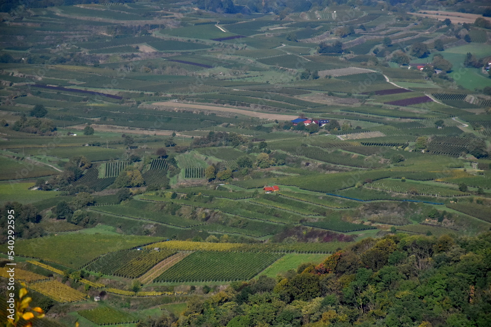 Fototapeta premium Herbstlandschaft in Endingen am Kaiserstuhl