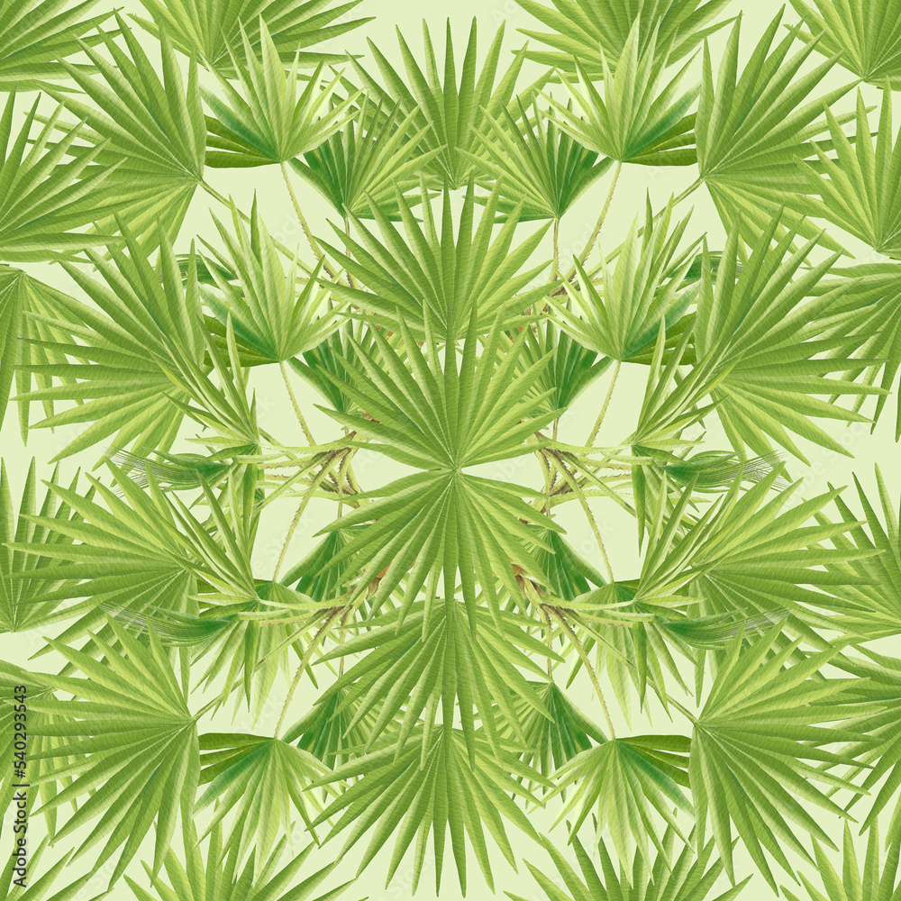 Seamless Philippine flora Anahaw pattern tile