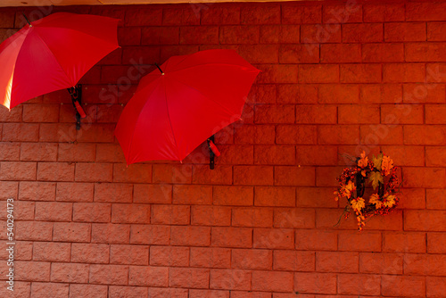 Bright and colorful umbrellas decorate a restaurant. The house covered with wild grapes