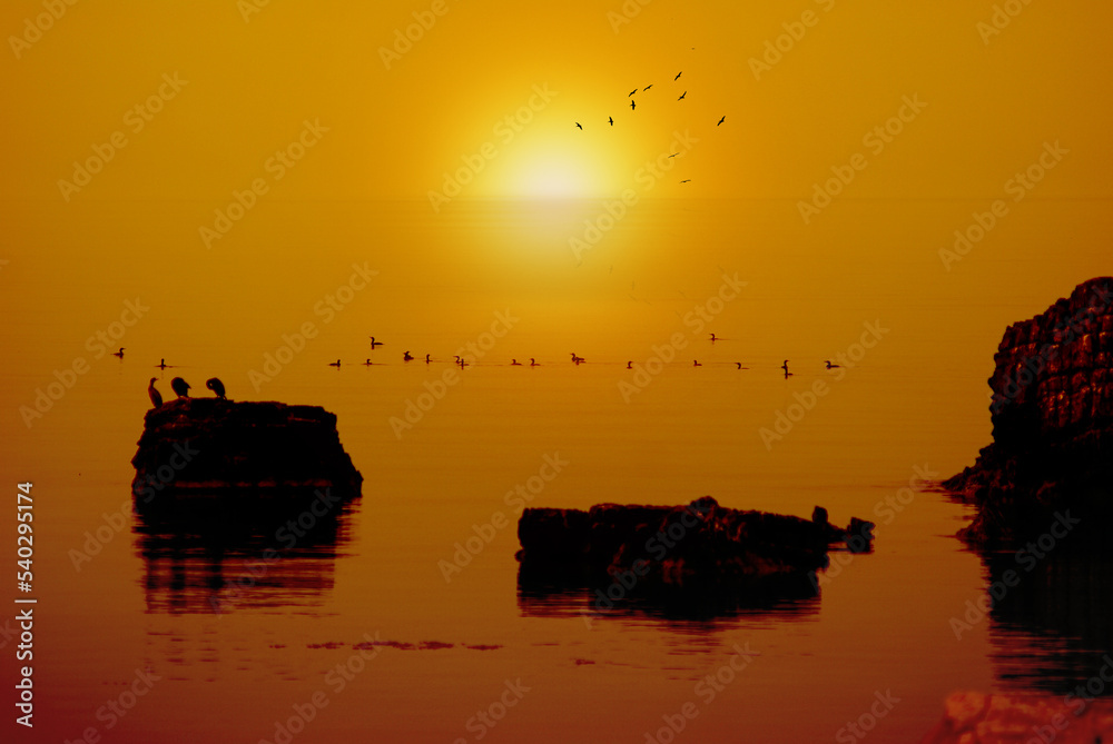 Sea at sunset, rocks and birds in the light