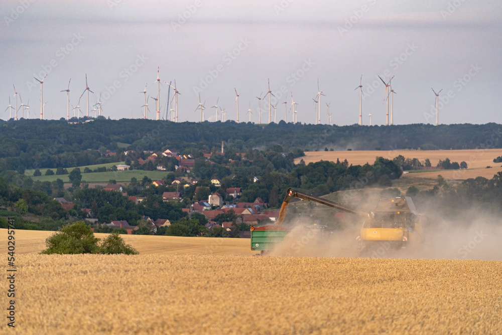Fototapeta premium Mähdrescher erntet Weizen