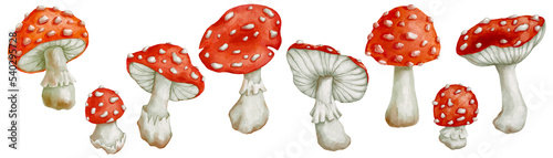 Set of watercolor forest fly agaric mushrooms.