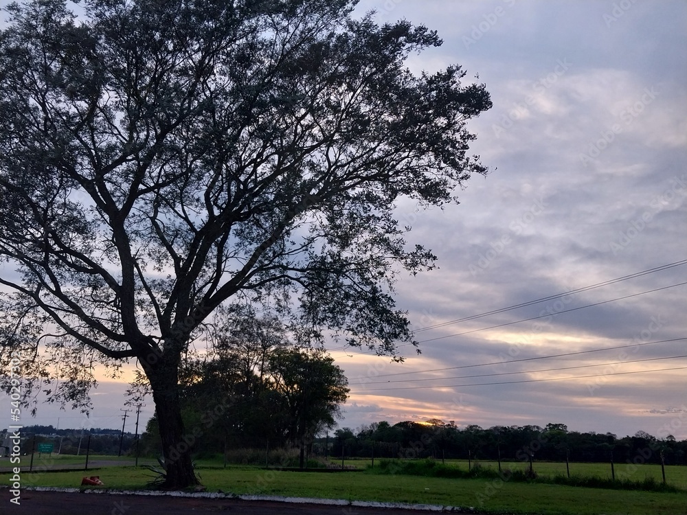 sunset in the park sunset in the park