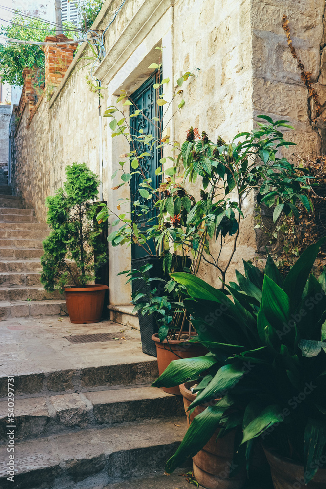 Detail look of narrow stone street with beautiful green plants left by the doors