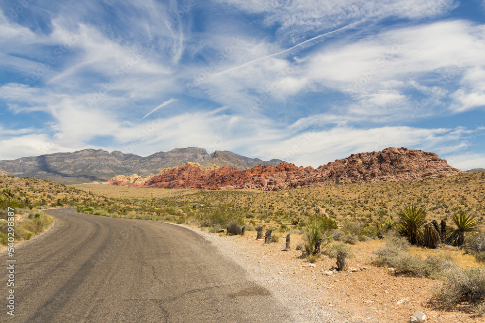 road in the desert road in the desert