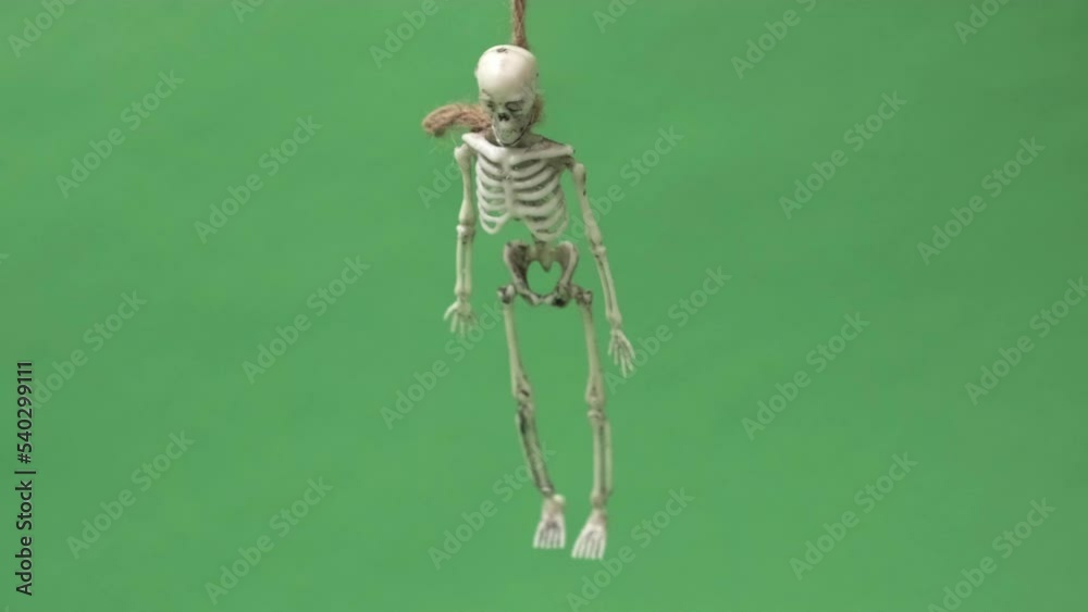 skeleton hanging on gallows over green background. Halloween video with