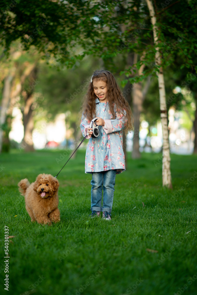 A cute little girl on a walk with toy poodle dog. It's spring outside. The girl is dressed in a blue cloak in a flower and jeans. She has long wavy hair. Childhood. Stroll. A cute little girl on a walk with toy poodle dog. It's spring outside. The girl is dressed in a blue cloak in a flower and jeans. She has long wavy hair. Childhood. Stroll.
