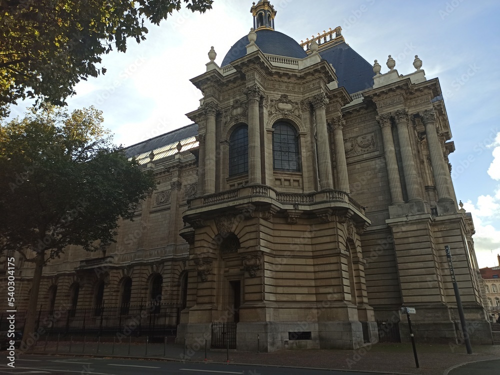 Lille, October 2022: Magnificent facades of the buildings of Lille, the capital of Flanders - Historic Monument : Museum of Fine Arts	