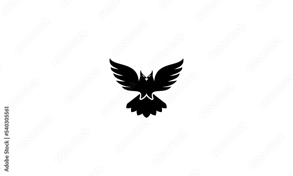 Obraz premium eagle with wings