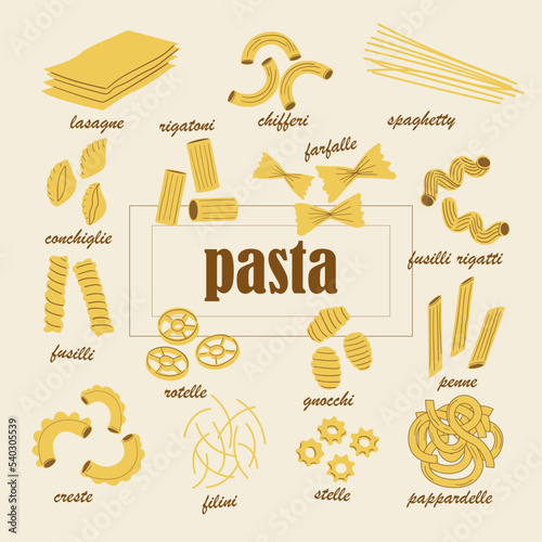 Pasta types. Italian cuisine food. Dough product collection. Penne and fusilli. Noodles shapes. Spaghetti with inscription lettering. Wheat cooking ingredients. Vector culinary banner