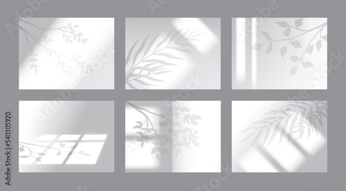 Window and plant shadow set, light leaf and branches. Wall mockup, palm leaves shade, organic white sunshine overlay effect. Summer gray botanical sunlight. Vector geometric backgrounds