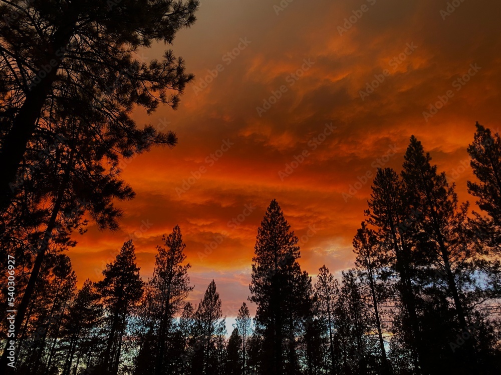 Oregon wildfire sky 