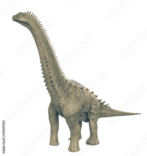 alamosaurus in white background cool view © DM7