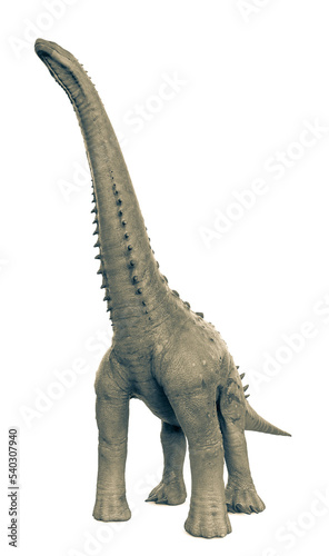 alamosaurus in white background © DM7