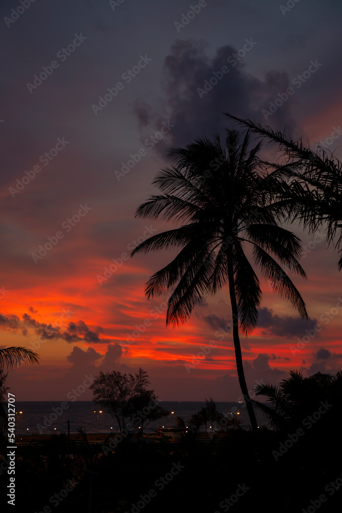 Krajobraz egzotyczny. Tropikalny zachód słońca pod palmami w Tajlandii. Egzotyczne krajobrazy i dzika roślinność. Piękne piaszczyste plaże.	