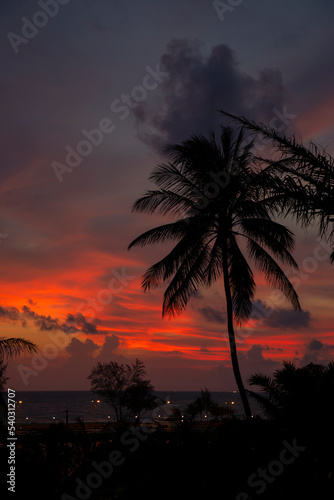 Krajobraz egzotyczny. Tropikalny zachód słońca pod palmami w Tajlandii. Egzotyczne krajobrazy i dzika roślinność. Piękne piaszczyste plaże. 