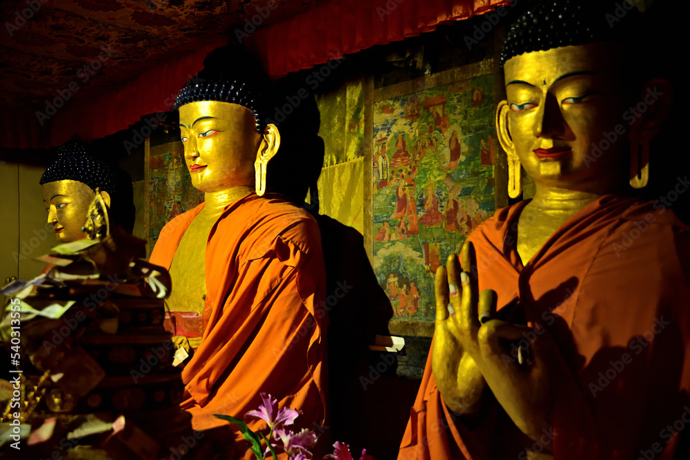 Fototapeta premium インド最北の秘境、ラダック地方スタクナ僧院の仏像