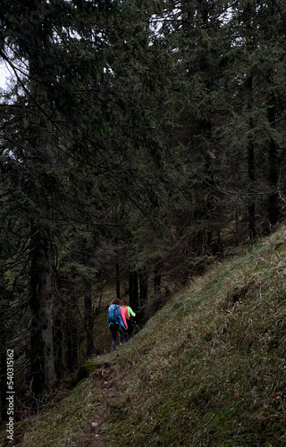 Bergwanderer mit bunten Jacken und Rucksäcken auf einem schmalen Pfad am Rand eines Nadelwaldes, Hochries, Alpen, Chiemgau, Bayern, Deutschland photo