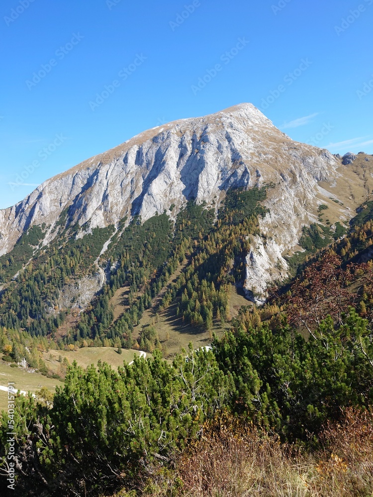 Fototapeta premium Weitblick im Berchtesgadener Land