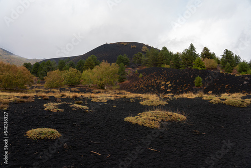 Vulkanlandschaft am Ätna - Etna Sizilien