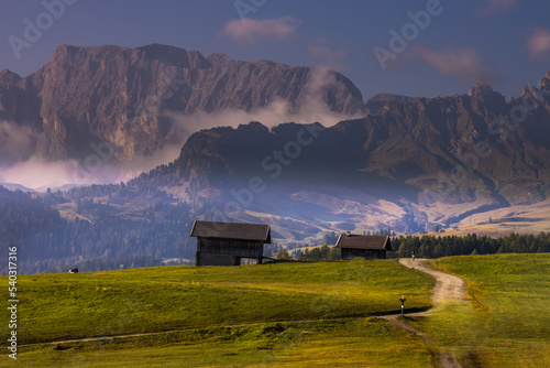 Sunrise on Seiser Alm mountain meadow in Dolomites © tmag