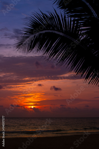 Krajobraz morski. Zachód słońca pod palmami, Tajlandia