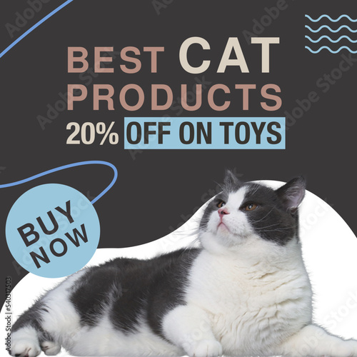Cat and Pet shop Banner Post Template