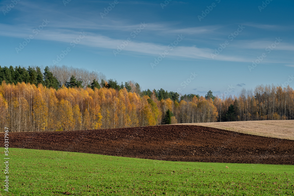 Naklejka premium autumn landscape in Latvia