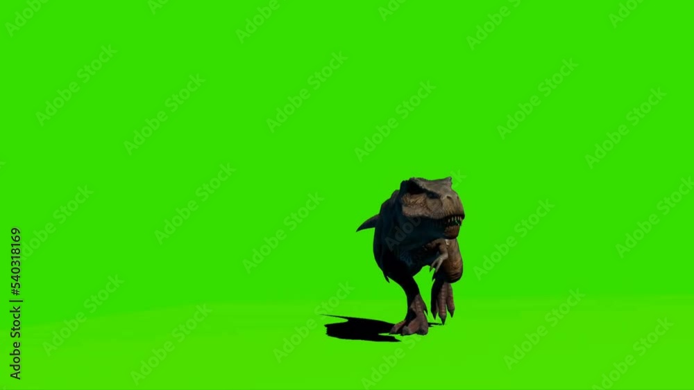 Tyrannosaurus rex Walking on Green Screen Tyrannosaurus rex Walking on Green Screen
