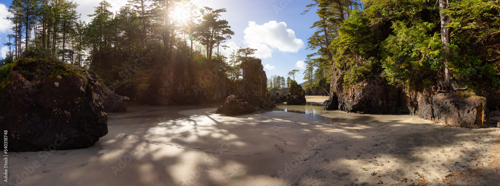 Sandy beach on Pacific Ocean Coast Panoramic View. Sunny Blue Sky. San Josef Bay, Cape Scott Provincial Park, Northern Vancouver Island, BC, Canada. Canadian Nature Background Panorama